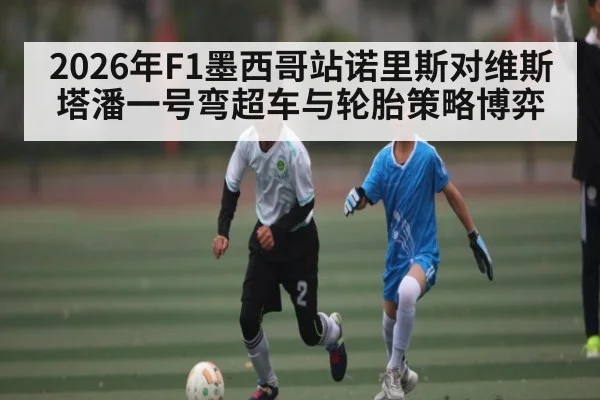2026年F1墨西哥站诺里斯对维斯塔潘一号弯超车与轮胎策略博弈