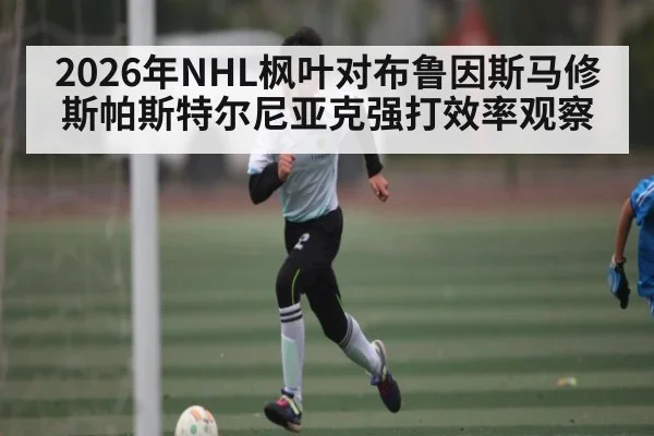 2026年NHL枫叶对布鲁因斯马修斯帕斯特尔尼亚克强打效率观察